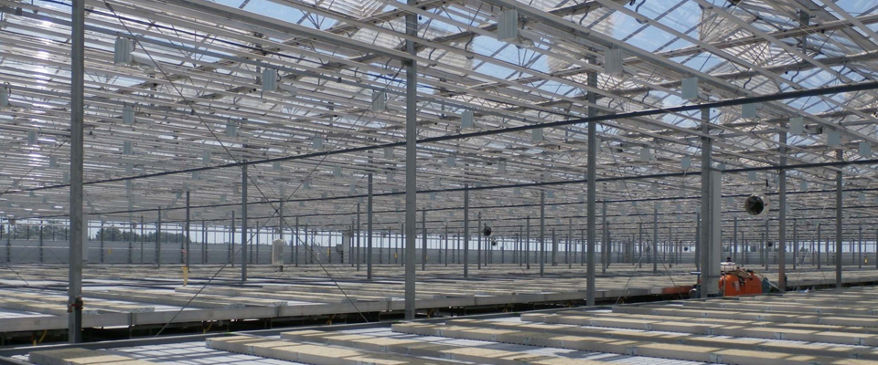 WideSpan Venlo Greenhouses