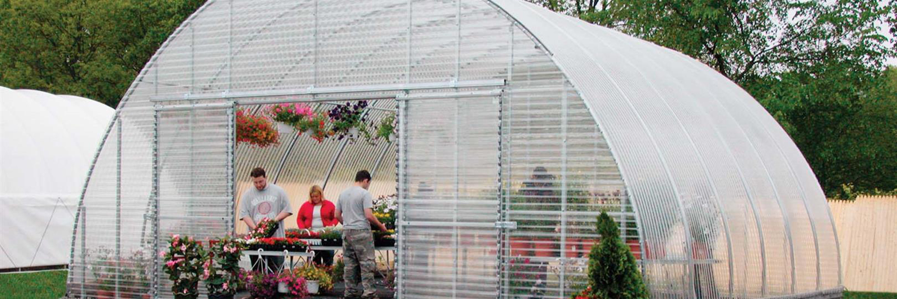 backyard greenhouse outside