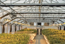 Grow Greenhouse environmental control