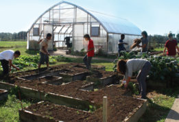 Bridgehampton Union school greenhouse