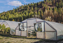 Cascade Growers high tunnels exterior