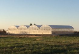 ottumwa greenhouse