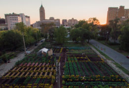 Michigan Urban Farm