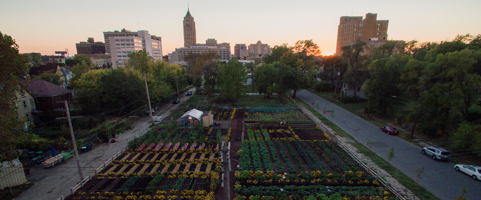 Michigan Urban Farm