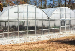 Table Rock team Company greenhouse