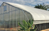 Victory Gardens greenhouse