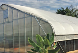 Victory Gardens greenhouse