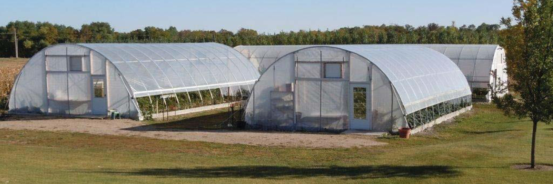 Woodside Raspberries High Tunnels