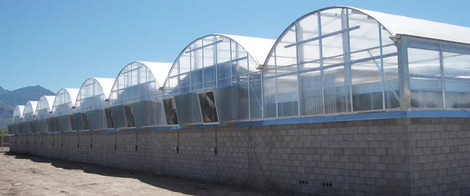 s1000 Greenhouse