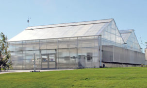 Commercial Greenhouse