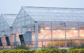 School greenhouses