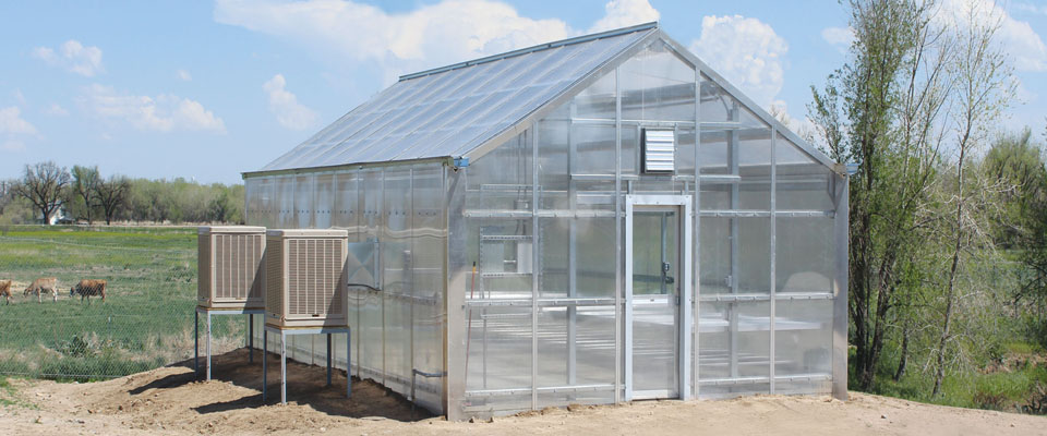 outside school greenhouse