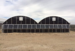 Black polycarbonate greenhouse