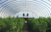 Hoop house greenhouse