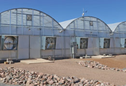 S1000 Polycar greenhouse