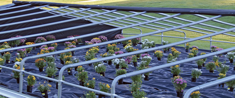 low tunnels 2