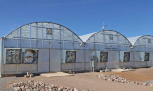 Cannabis Greenhouses