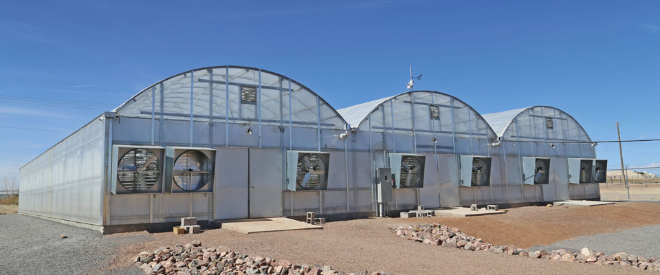 S1000 Commercial Greenhouse Outside Shot