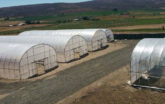 s500 greenhouses