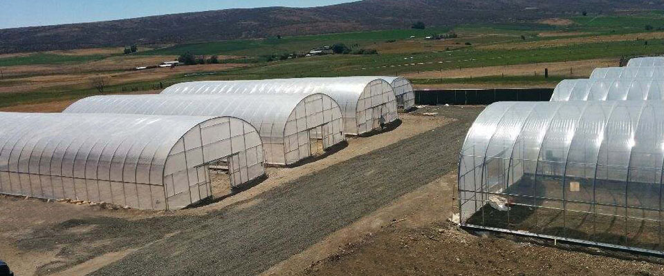 s500 greenhouses