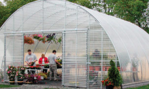 Premium Greenhouse