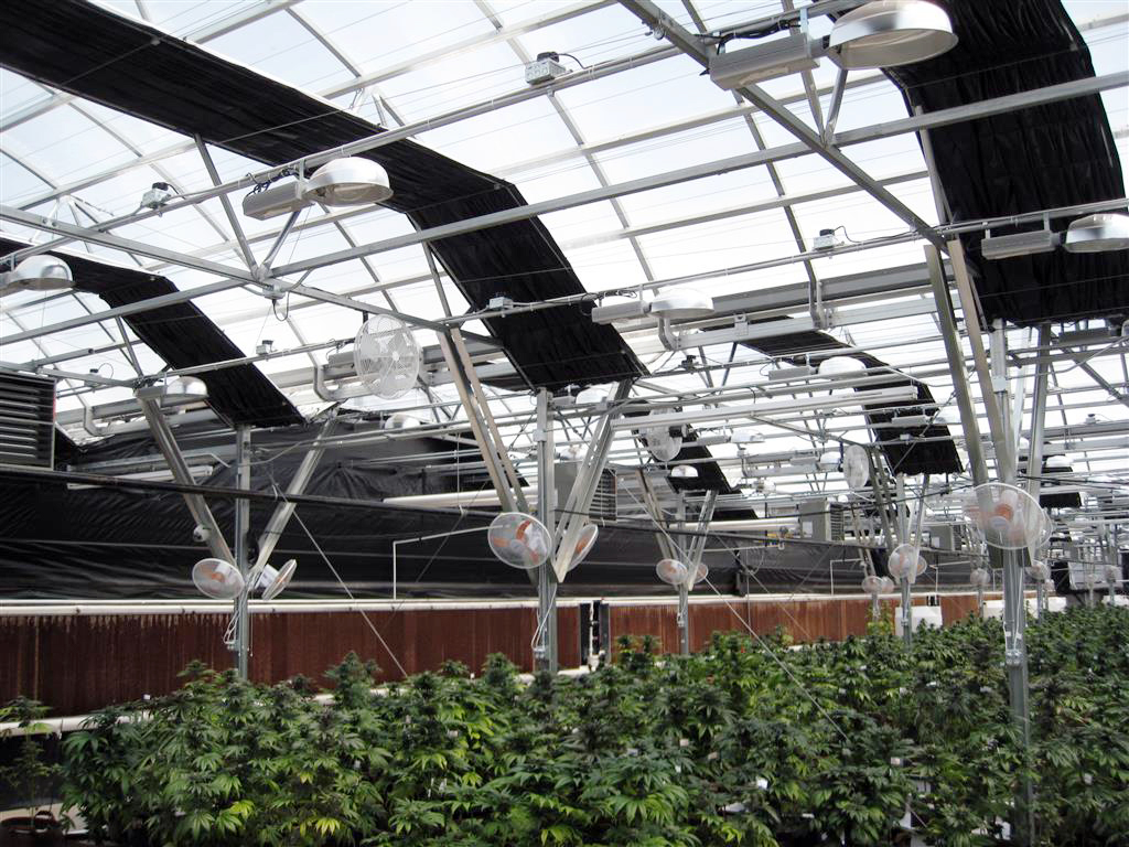 roof of polycarbonate greenhouse with light dep curtains