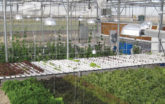 Custom hydroponics systems