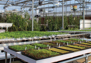 Hydroponics systems