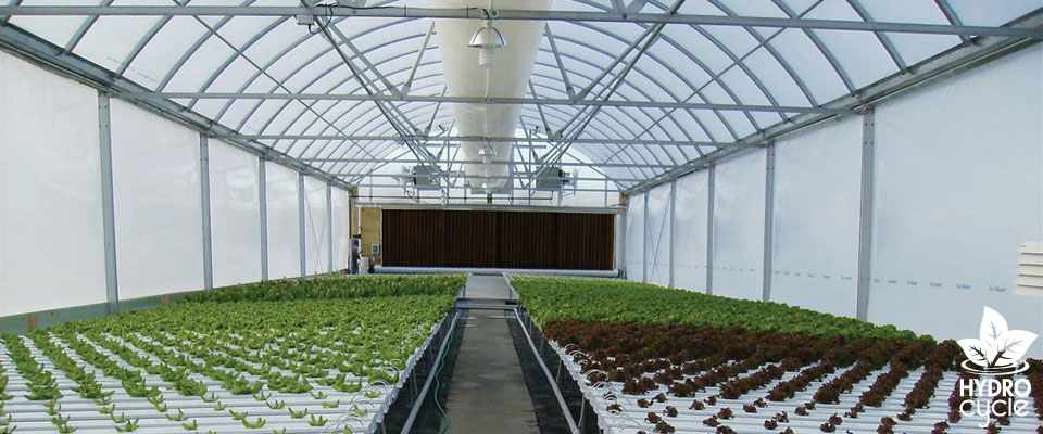 Hydrocycle NFT Hydroponic Systems