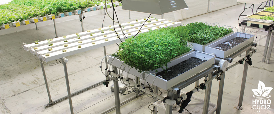 Microgreen Systems