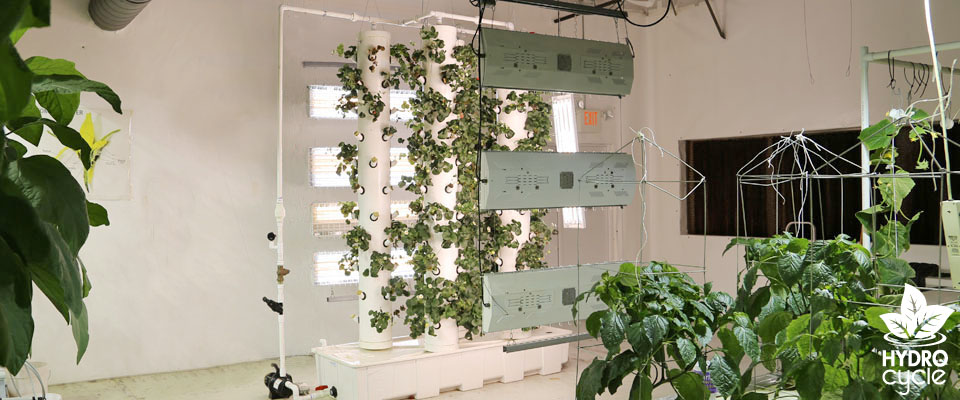 Aeroponics system