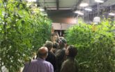 CEA lesson in hydroponic Greenhouse