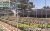 Blue Sky Organic Farms