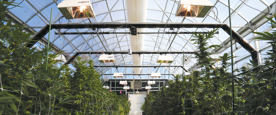 www.growspan.com