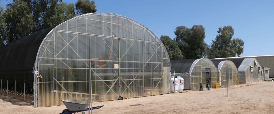 S1000 greenhouses outside on dirt