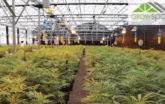 Pueblo Colorado Grow Greenhouse