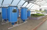 Commercial aquaponics for beginners inside a greenhouse