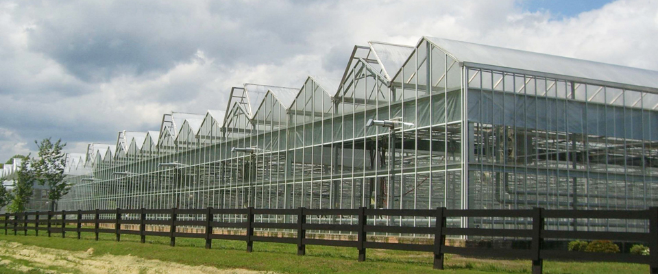 GrowSpan Cabrio Venlo Greenhouses