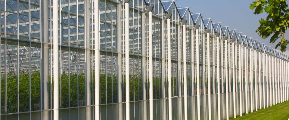 Cabrio Venlo Greenhouses