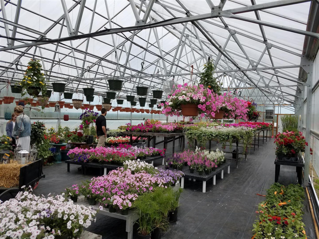 The Garden Bug GrowSpan