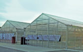 Montgomery Greenhouse exterior