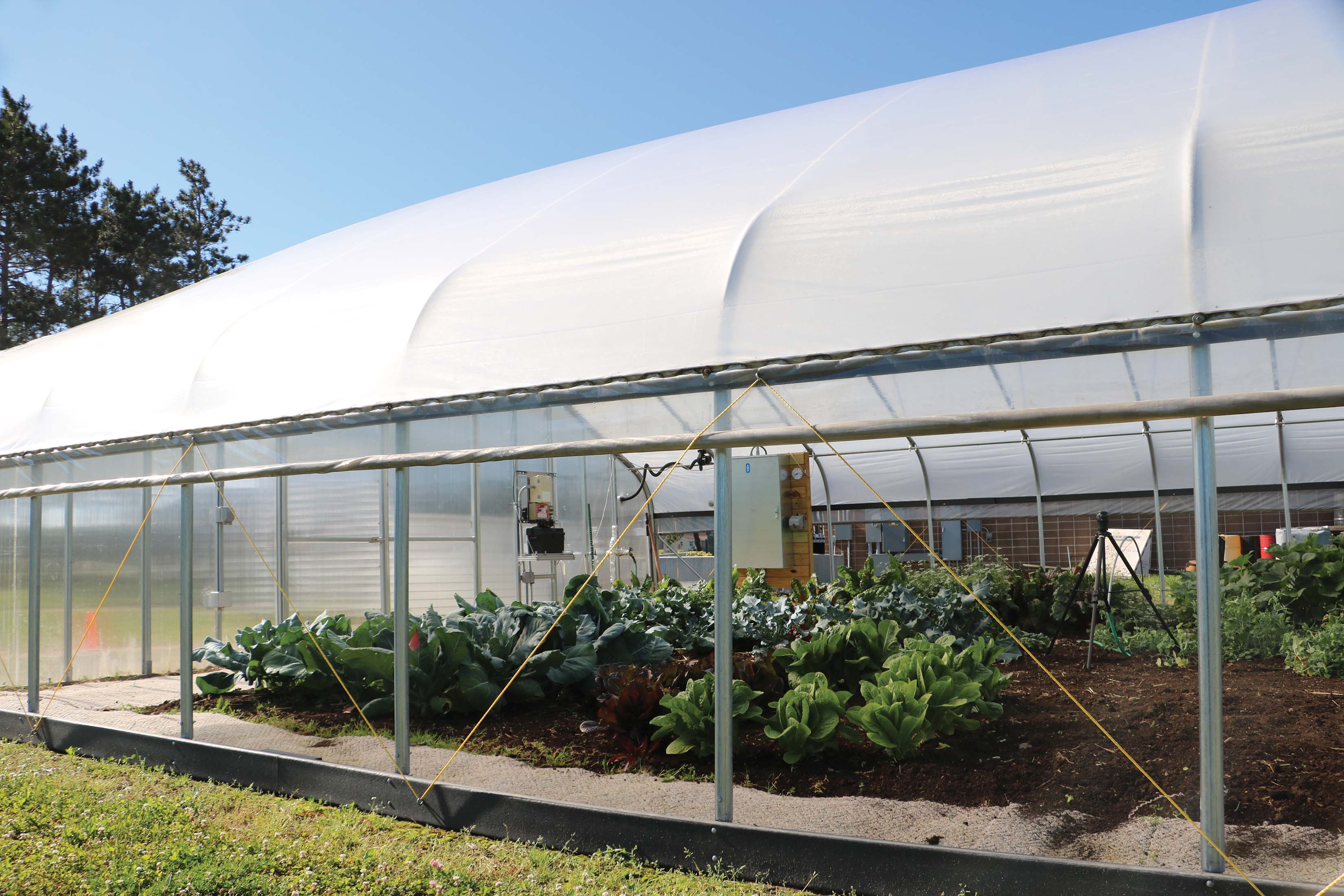 The Summer Sun is Overheating Your Greenhouse, Here’s How to Cool it