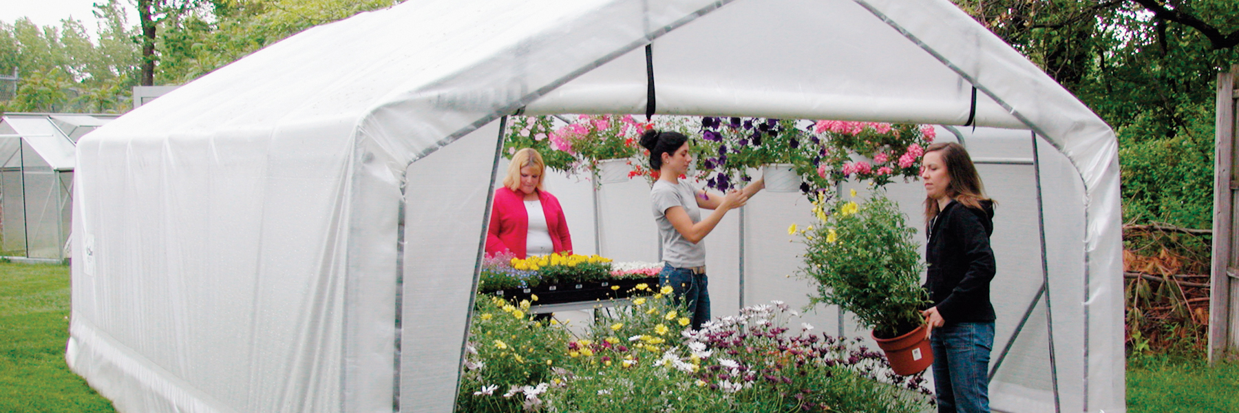 Gothic Pro greenhouse