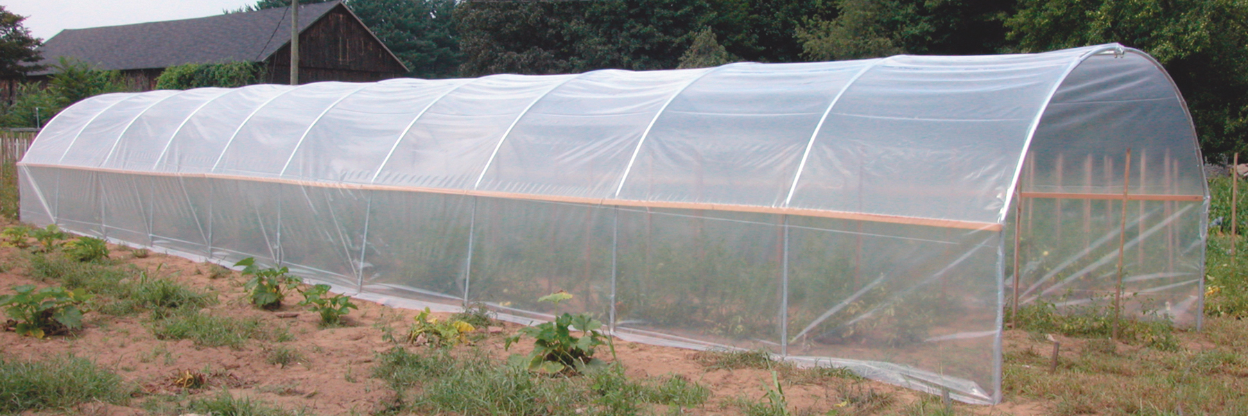 hoop greenhouses