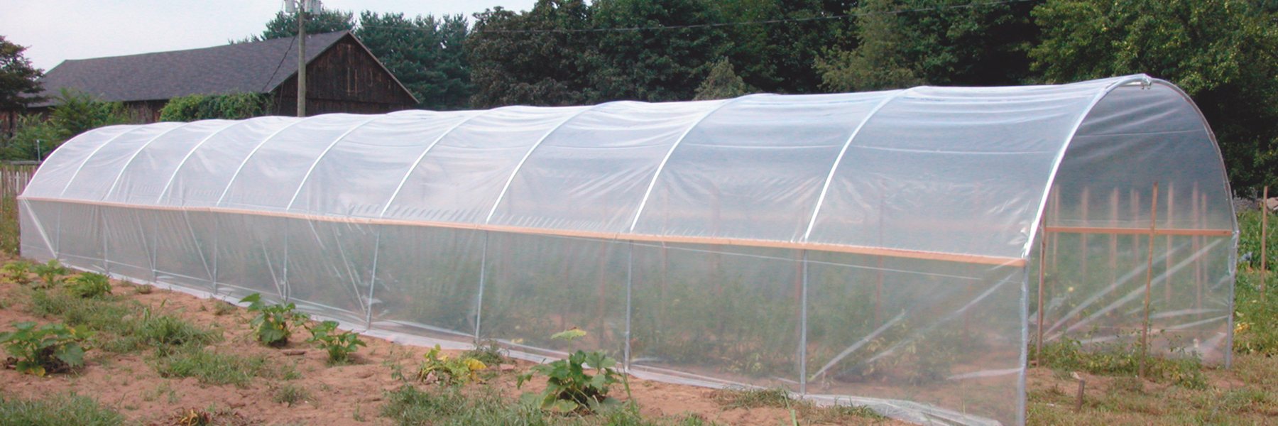 Economy Cold frame