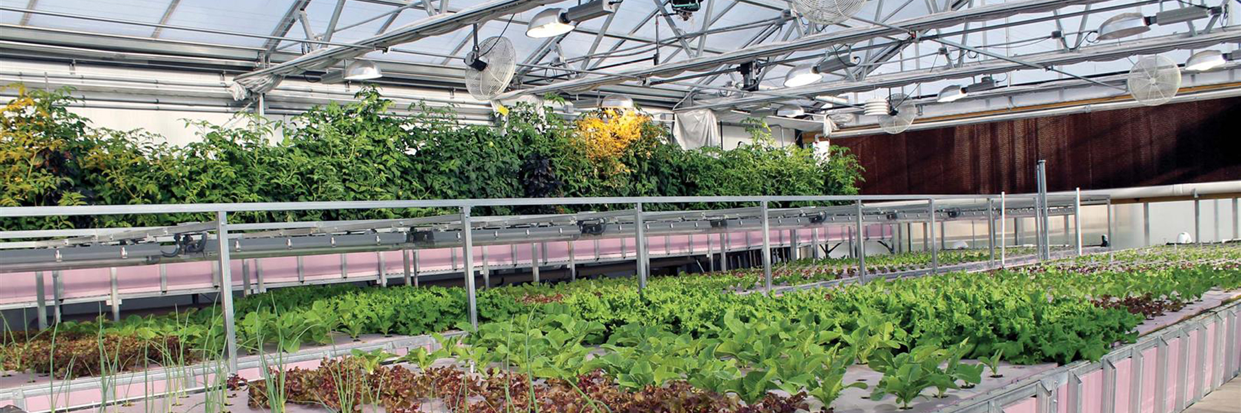 Aquaponics Systems GrowSpan