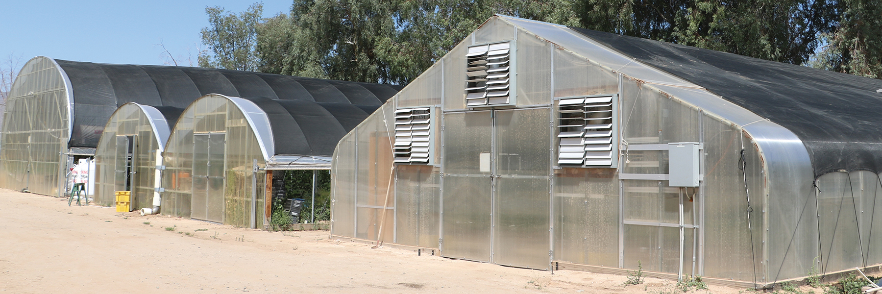 backyard greenhouse entrance
