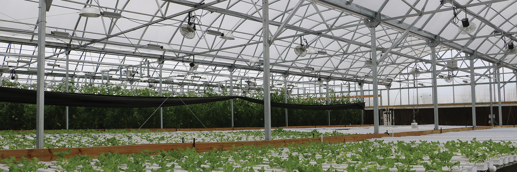 vertical hydroponics systems