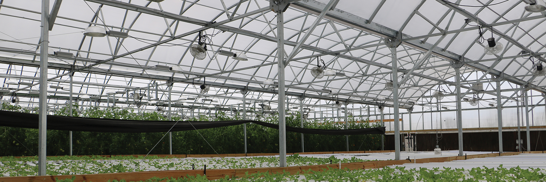 Ottumwa Greenhouse interior