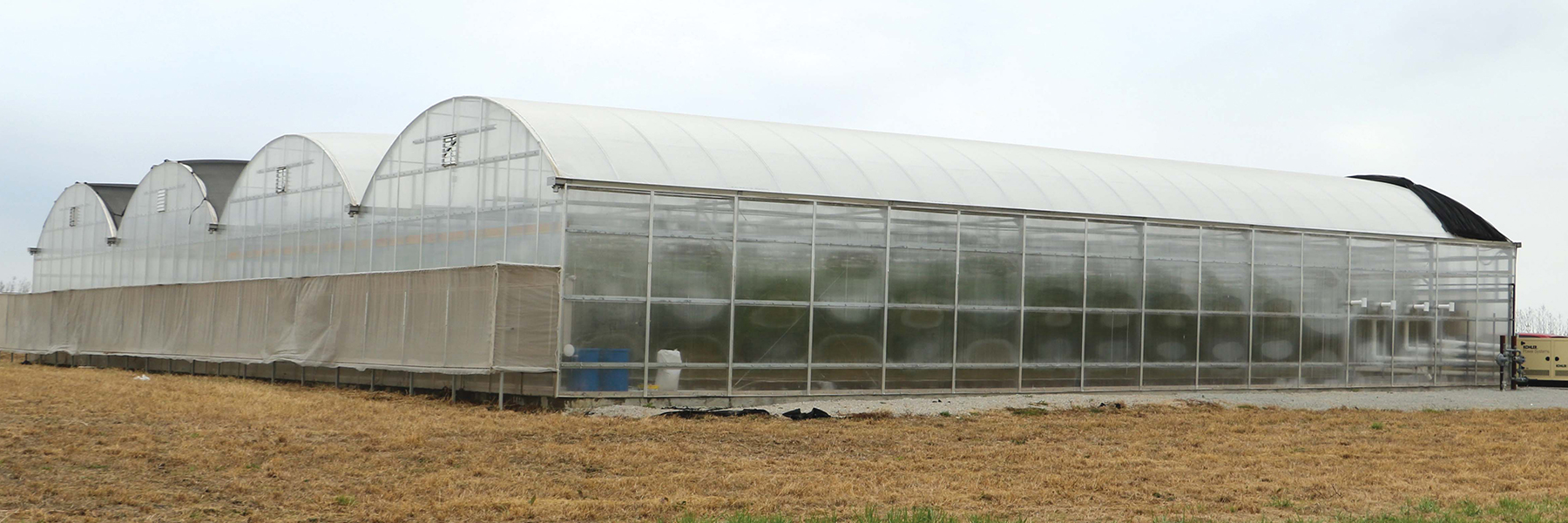 hydroponic industrial greenhouse
